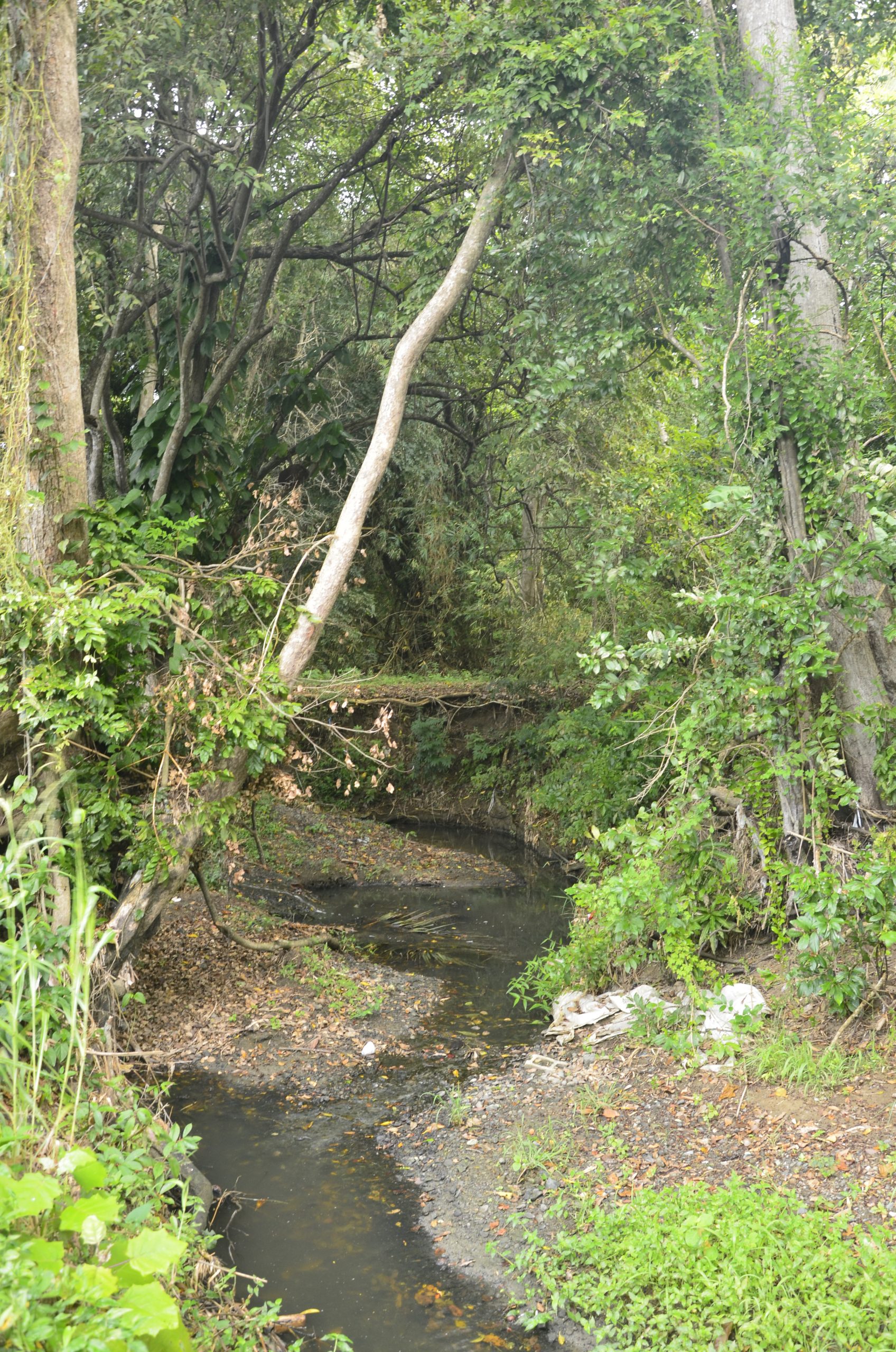 image slide
